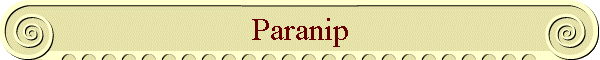 Paranip
