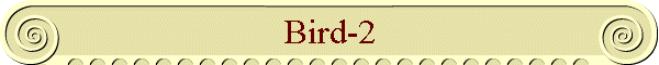 Bird-2