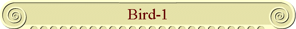 Bird-1