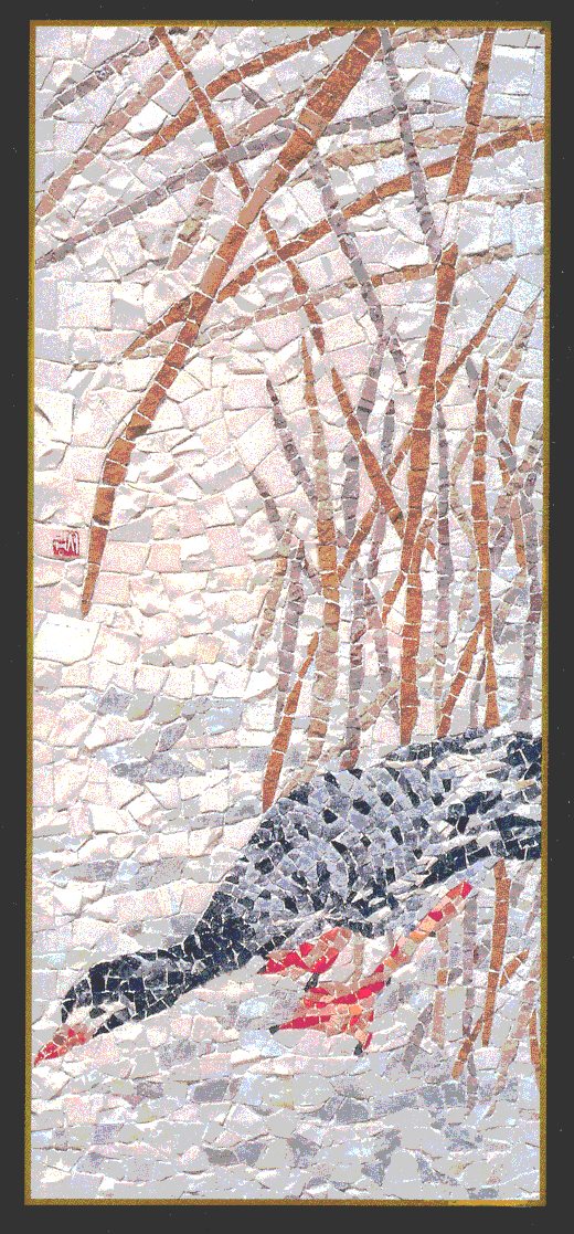 Bird.gif (254047 bytes)